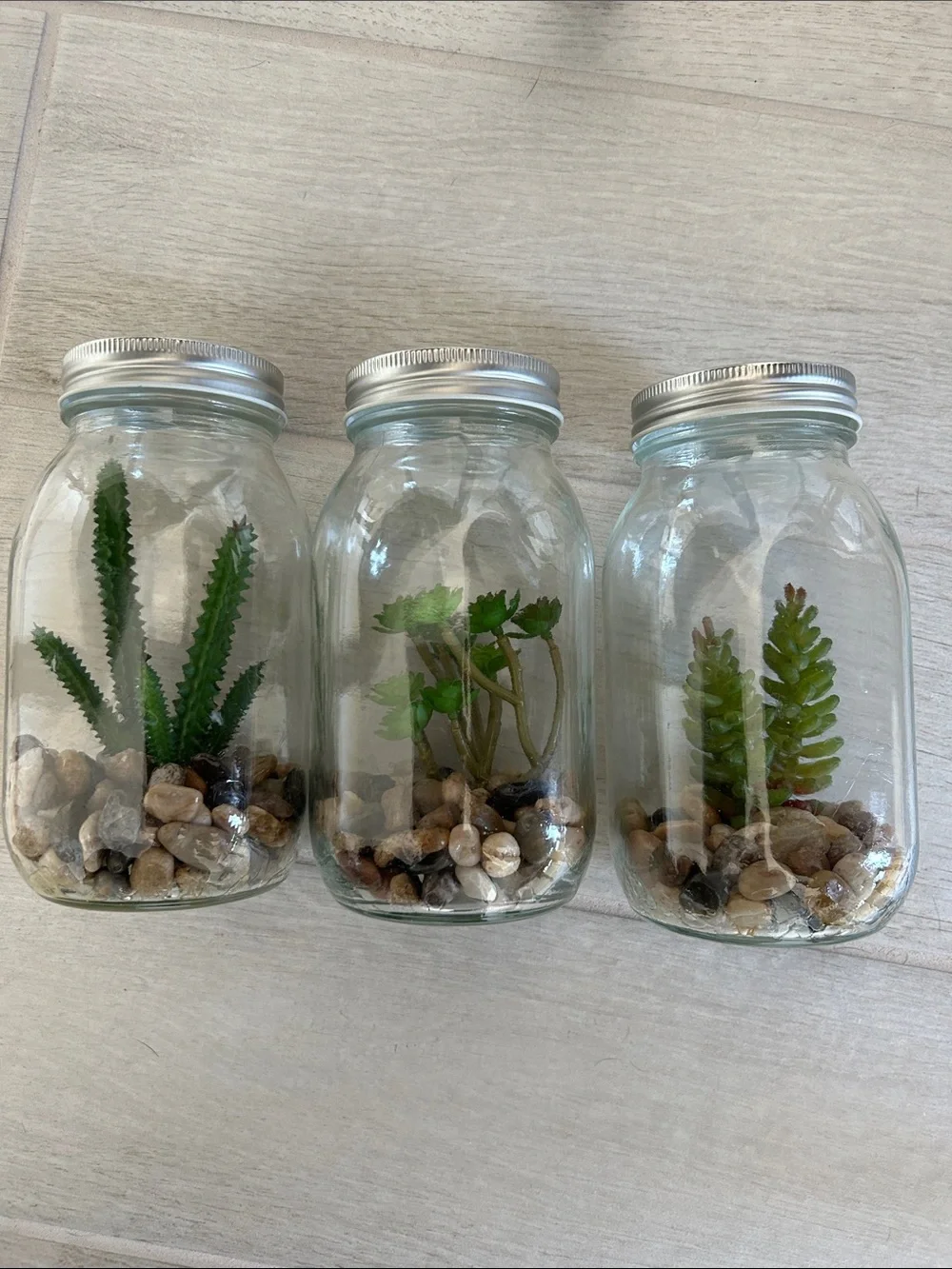 (3) Faux Succulent Glass Mason Jar